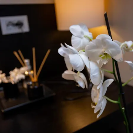 Appartement Madame Marconi Xvii Mira